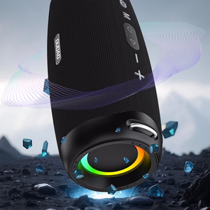 Dudao Y21Pro Juhtmevaba Kõlar with RGB Backlight Bluetooth 5.3 - must