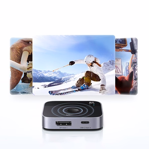 Ugreen DisplayPort/USB-C USB-C kommutaator - hall