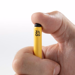 ZAGG Pro Stylus2 jaoks Apple iPad - Hall