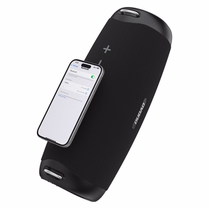 Dudao Y21Pro Juhtmevaba Kõlar with RGB Backlight Bluetooth 5.3 - must