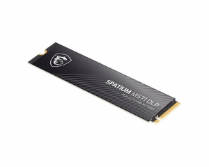 MSI SPATIUM M571 DLP PCIe 5.0 NVMe M.2 4TB sisemine SSD 3D NAND