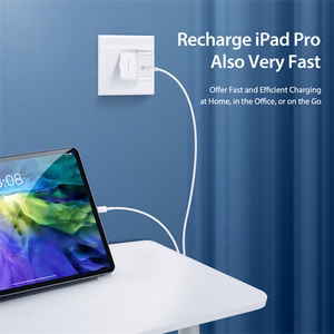 Wall laadija Dux Ducis C100 - Type C - PD 30W 3A valge