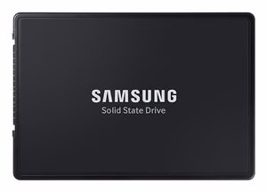 Samsung PM9A3 SSD ketas 1.92TB PCIe Gen4 NVMe U.2 6800/4000 MB/s