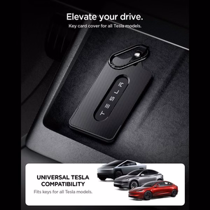 Spigen TO243 Tesla auto võtmekaardi hoidik, must