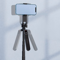 Blavec Selfie Stick Aluminium Fusion P-08 tripod + remote control + 1 lamp 2,2 metres (SSFP08-TR1LB22) must
