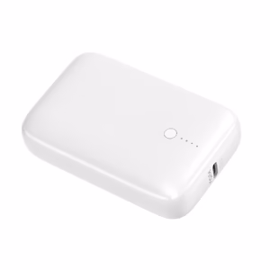 Akupank POWER BANK Platinet 10000mAh (1xUSB; 1xType-C; 20W) valge