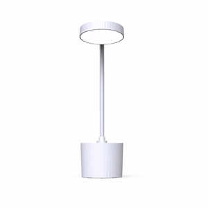Desk LED Lamp 5W with pen holder PURE FLB-20 AGNES white Forever Light