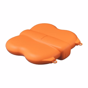 Sunnylife Mini Case with Carabiner for NEO 2, Orange