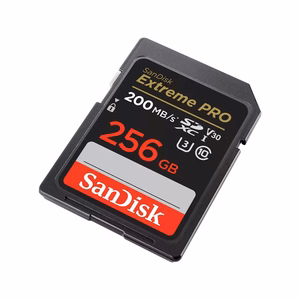 SDXC mälukaart SANDISK 256GB UHS-I SDSDXXD-256G-GN4IN