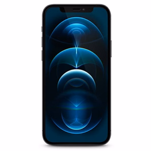 Guess karastatud klaas GUSPP12LSLTR iPhone 12 Pro Max 6.7" Vintage Magic Logo