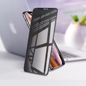 Borofone Karastatud klaas BF7 Diamond Armor Full Screen Anti-spy jaoks Iphone X/XS/11 Pro - 10 pieces