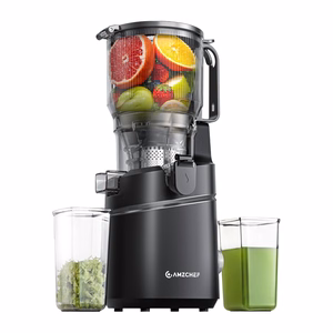 AMZCHEF SJ-036CBK aeglane mahlapress (must)