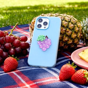 Fruit 2in1 ümbris Samsung Galaxy S25 Ultra jaoks sinine
