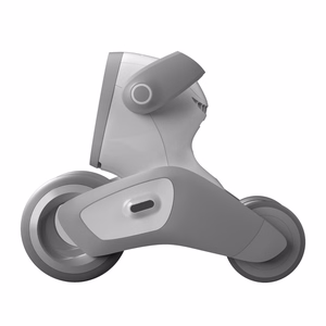 Loona Premium interaktiivne robot