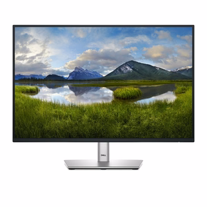 DELL P-seeria P2425E monitor 61,1 cm (24,1") 1920 x 1200 px WUXGA LCD Must