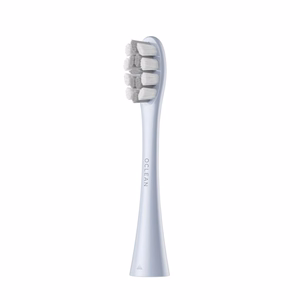 Oclean Professional Clean harjapead 2 tk P1C9, hõbedased