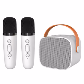 Blavec kantav Bluetooth kõlar WS-07 Karaoke Party 5W 2 mikrofoniga valge