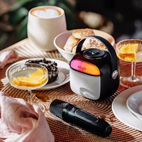 Adler AD 1199 must Karaoke speaker with microphone - SD/USB/AUX/Bluetooth