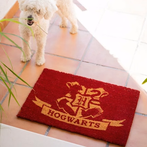 Harry Potter Hogwarts uksematt, 40 × 60 cm