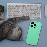 Ümbris SILICONE 2mm jaoks IPHONE 16 Pro compatible koos MagSafe mündi