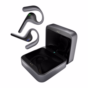 TIMEKETTLE W4 Pro Translation Earbuds