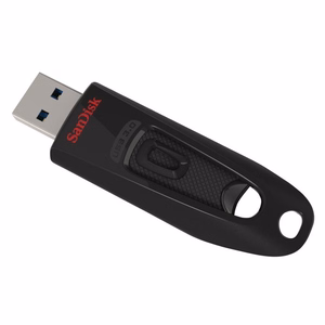 SanDisk 124109 USB flash drive 128 GB USB Type-A 3.2 Gen 1 (3.1 Gen 1) Black
