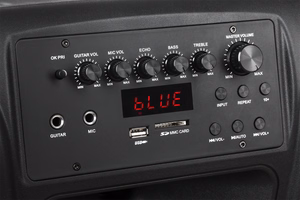 Aktiivkõlar 2 juhtmeta mikrofoniga, SD, Bluetooth, USB, 12 tolli, 40 W