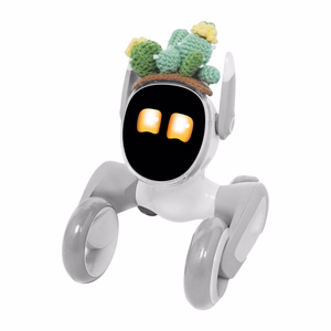 Kootud kostüüm Loona Premium – kaktus