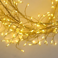 String Light GOLDEN TWIG CLF-03z 480LED cold valge 3m + 5m Forever Light