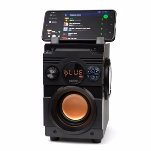 SQUEAK kõlar BASSBLASTER BLUETOOTH 5.1 SQ1001
