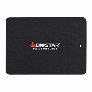 Biostar S160 256GB SATA SSD (S160-256GB)