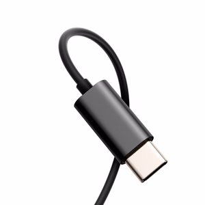 Joyroom TYPE-C Series JR-EC07 USB-C in-ear headphones metal - must