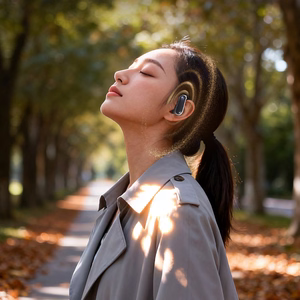 Наушники Dudao U17Z Bluetooth 5.3 OWS с заушными крючками, чёрные