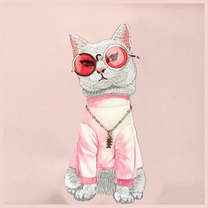 NIMMY crossbody GLASSES COOL CAT roosa