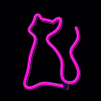Neon LED Light CAT roosa Bat + USB FLNE04 Forever Light