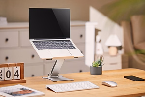 Gembird NBS-D1-03 laptop stand hõbedane 39.6 cm (15.6")