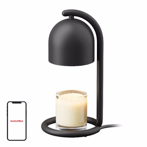 Smart Decorative Lights