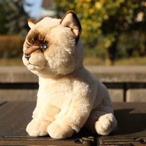 Rappa Soft Collection keskkonnahoidlik realistlik istuva Ragdoll-kassi plüüslelu, 23 cm