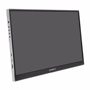 ANMITE A160W04H 16" kaasaskantav monitor