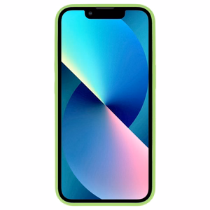 TEL PROTECT Leather Luxury Stand Case for Iphone 11 Pro Mint