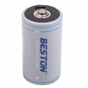 Rechargeable D Size Aku koos USB-C Port, 1.5V, 4000mAh, Li-Ion