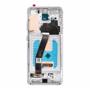 LCD Display jaoks SAMSUNG S20 4G valge SOFT OLED with frame