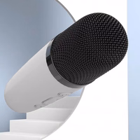 Blavec kantav Bluetooth kõlar WS-07 Karaoke Party 5W 2 mikrofoniga valge