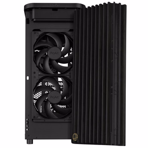 ASUS ProArt PA401 Wood Edition võrkpaneel, must