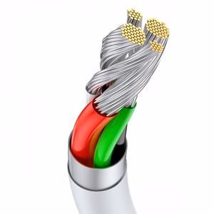 USB kaabel Baseus Superior valge Type-C 100cm (kuni 66W / 6A)