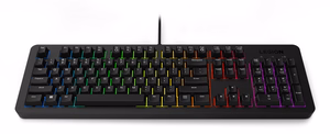 Lenovo K310 keyboard Gaming USB US English must