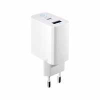 Forever TC-06-20AC PD QC laadija 1x USB-C 1x USB 20W valge