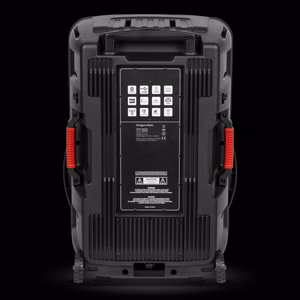 60 W aktiivkõlar 2 juhtmevaba UHF-mikrofoni, SD, Bluetoothi, FM-i, USB ja LED-iga