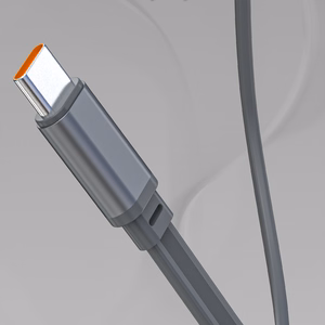 Dudao K31 Pro 45W 20000mAh Akupank with Built-in Retractable USB-C Kaabel - hall