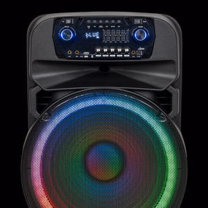 60 W aktiivkõlar 2 juhtmevaba UHF-mikrofoni, SD, Bluetoothi, FM-i, USB ja LED-iga